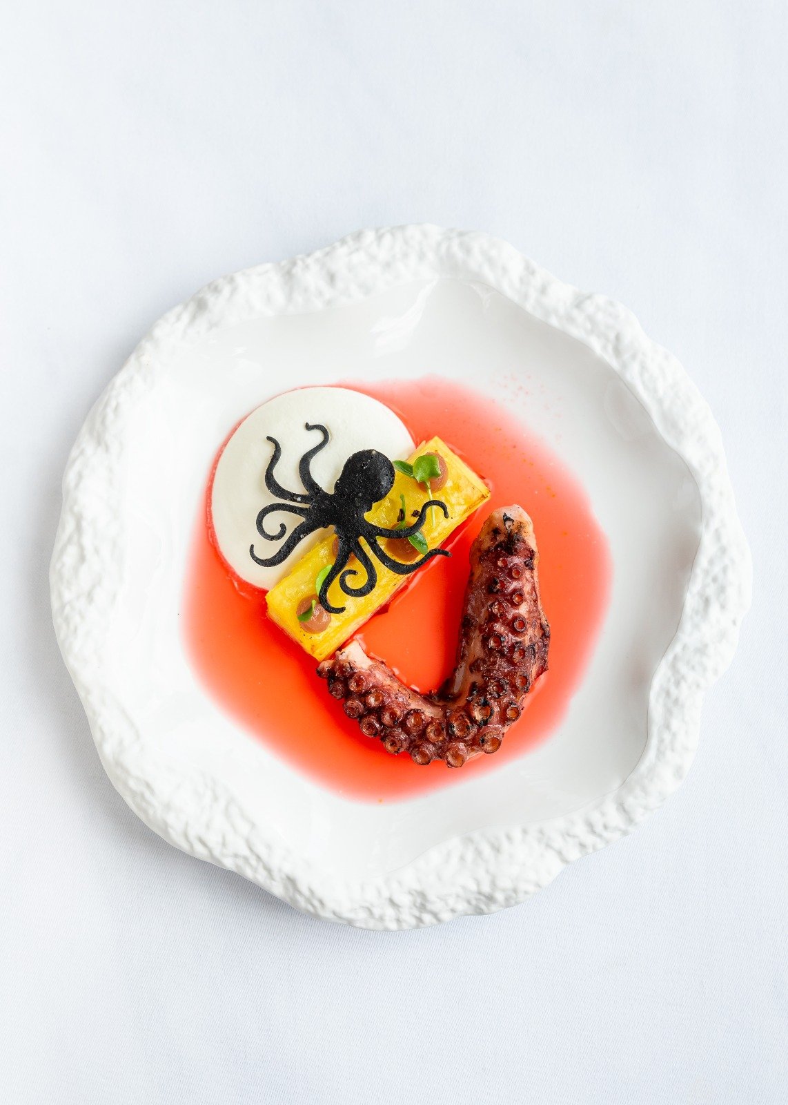 Plated octopus